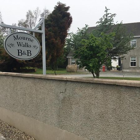 Mourne Walks B & B 安纳隆 外观 照片